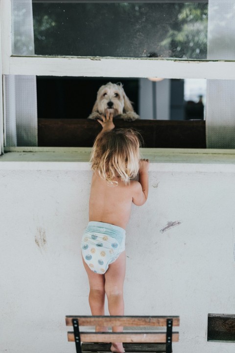 a person holding a dog