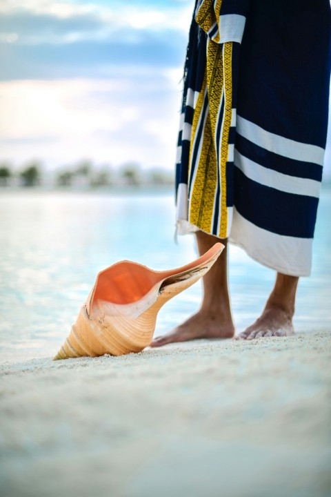 person standing by beige conch shell on shore at daytime