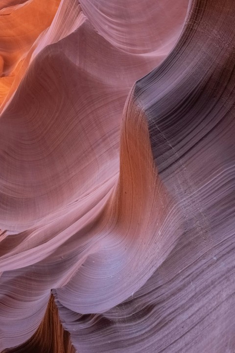 grand canyon interior