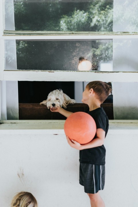 a boy holding a frisbee