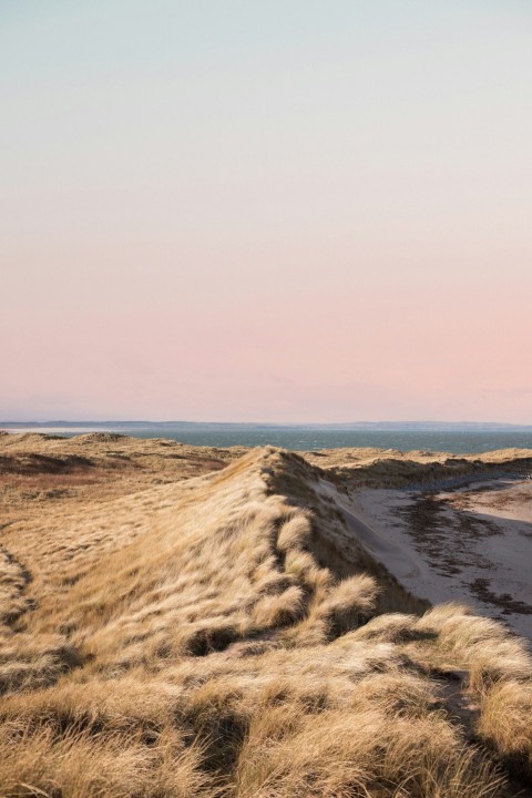 a dirt road in the middle of a dry grass field JpH8