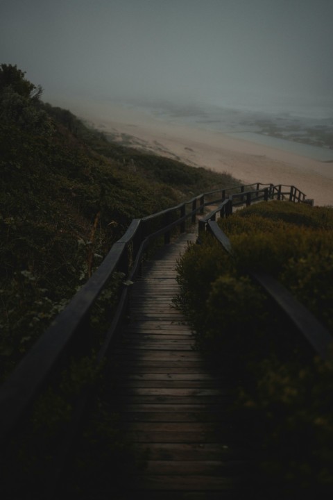 a wooden bridge over a beach