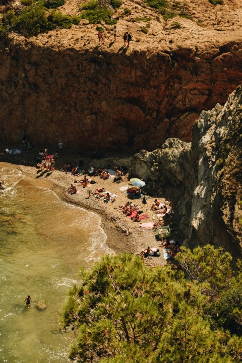 people on beach during daytime