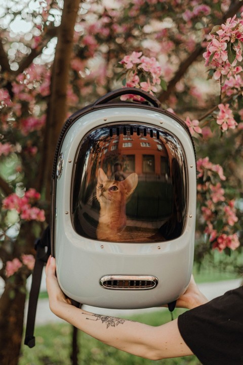 a person holding a dog in front of a tv