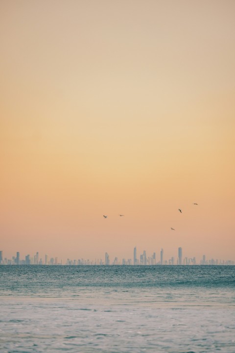 birds flying over water