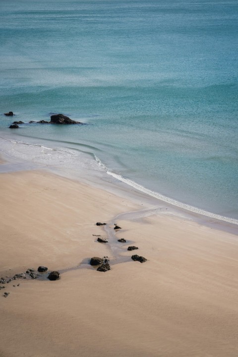 people on beach during daytime Oq