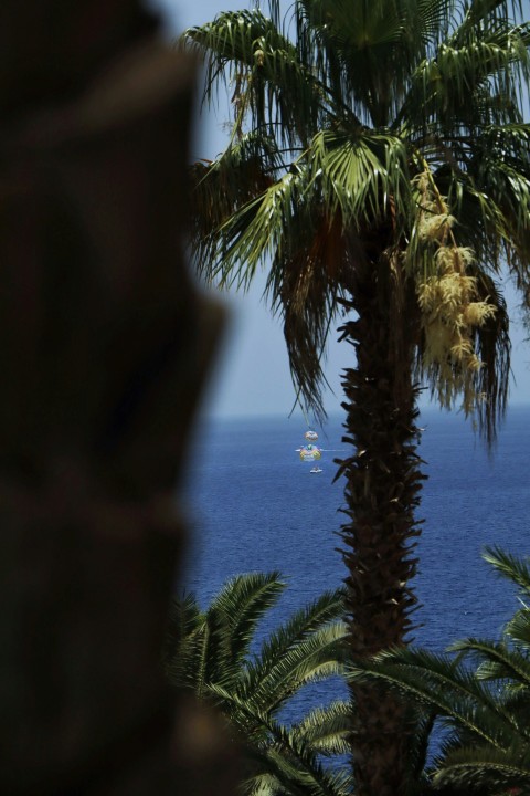 a plane flying over the ocean with palm trees