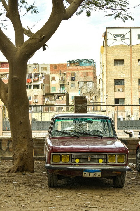 a red car is parked next to a tree