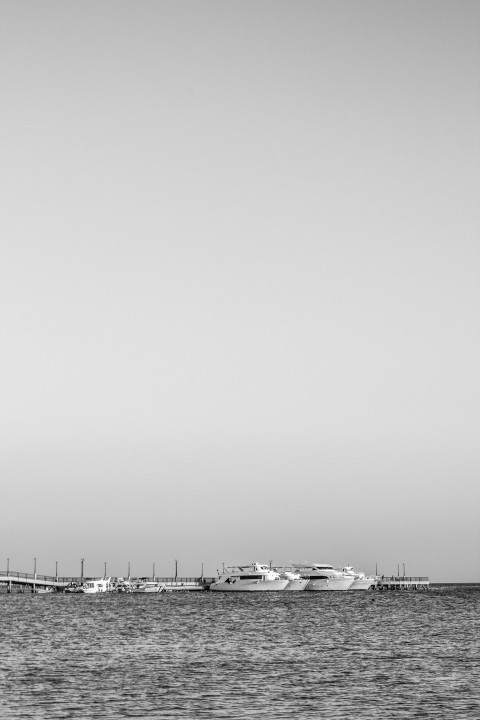 grayscale photo of a beach with a view of a city