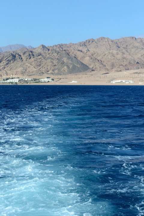 photography of seashore during daytime