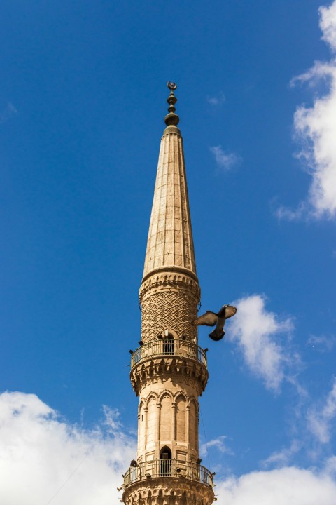 a tall tower with a bird on top of it