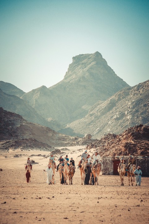 people on beach near mountain during daytime