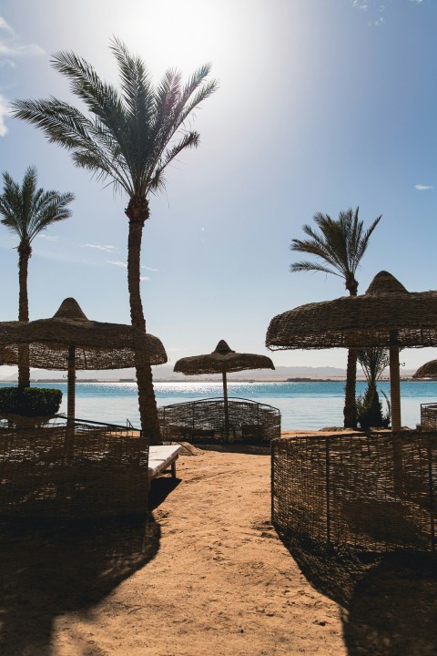 a sandy beach with palm trees and umbrellas xA