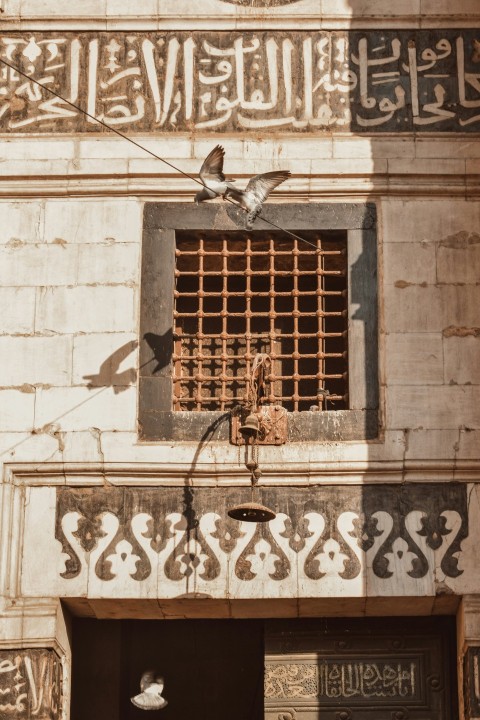 a couple of birds flying over a building