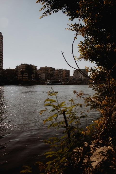 a body of water with buildings in the background