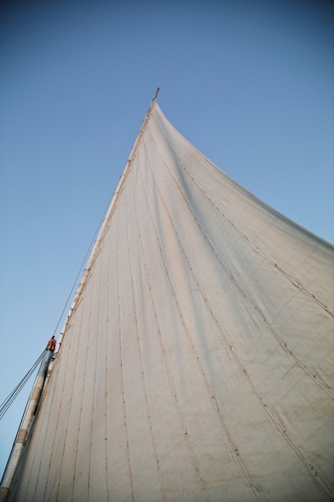 a person on a sailboat on a sunny day