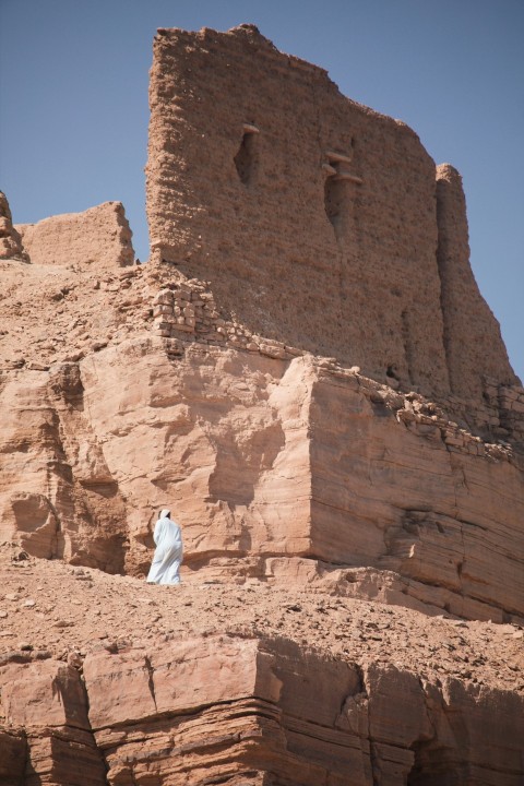 a white bird sitting on top of a rocky cliff ihIhO