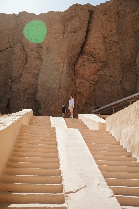 a man and a dog are walking up some stairs