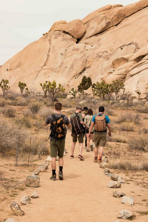 five person walking on pathway 2JwQoi