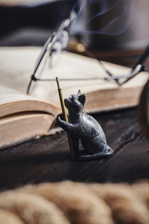 a small figurine of a cat holding a stick RidxU0