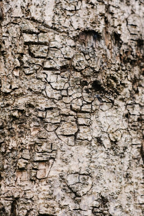 a close up of a stone wall