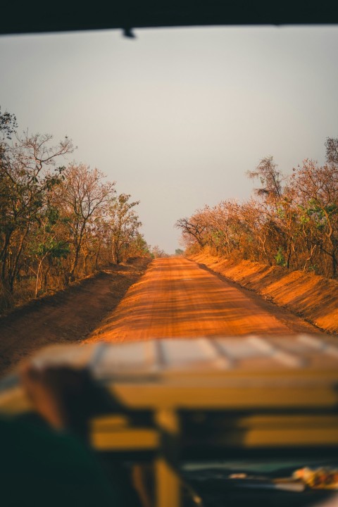 a dirt road with trees in the distance