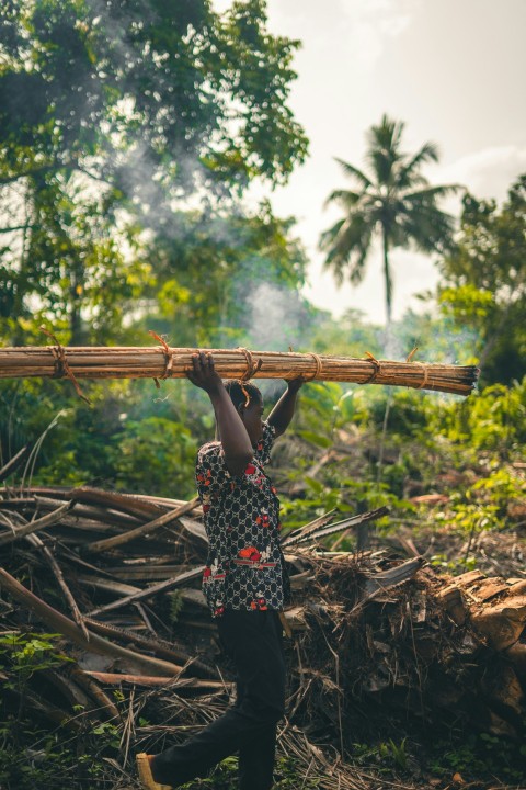 a man carrying a bamboo stick across a forest 42