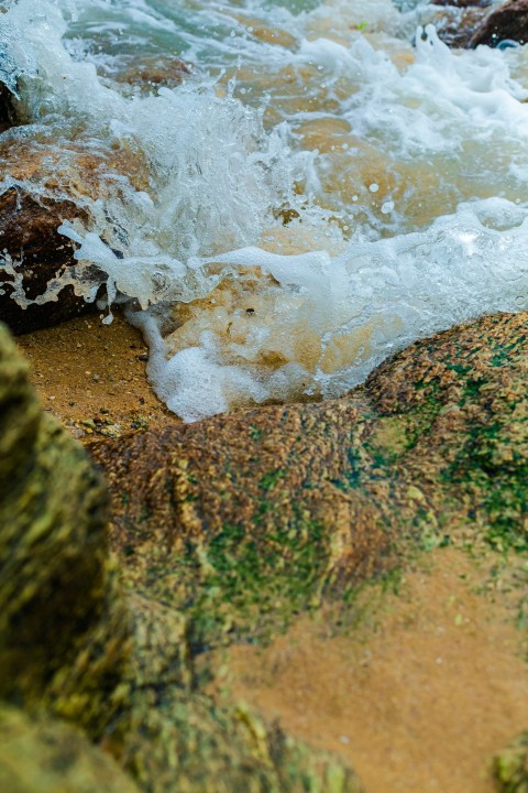 a bird is standing on a rock by the water