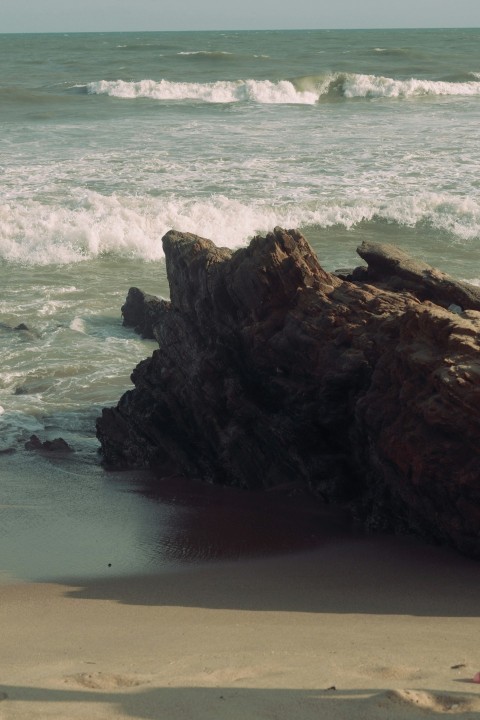 a rock on the beach