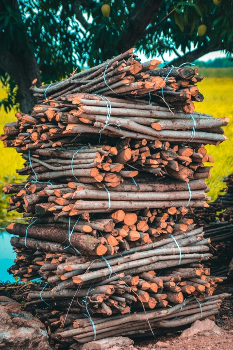 a pile of logs stacked on top of each other G4