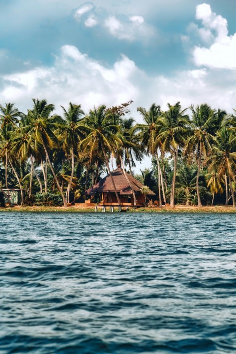 a hut on a beach