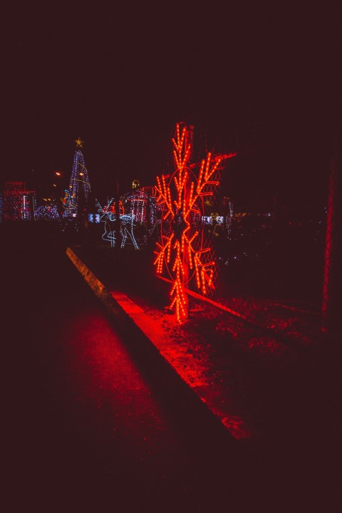 a lighted tree in the middle of a park at night