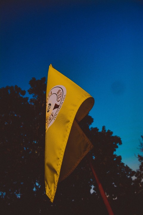 a yellow flag with a black background