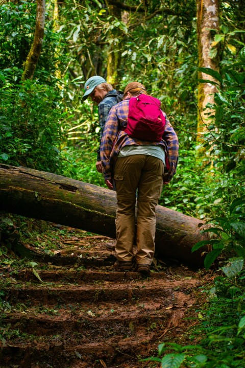 a couple of people that are walking in the woods