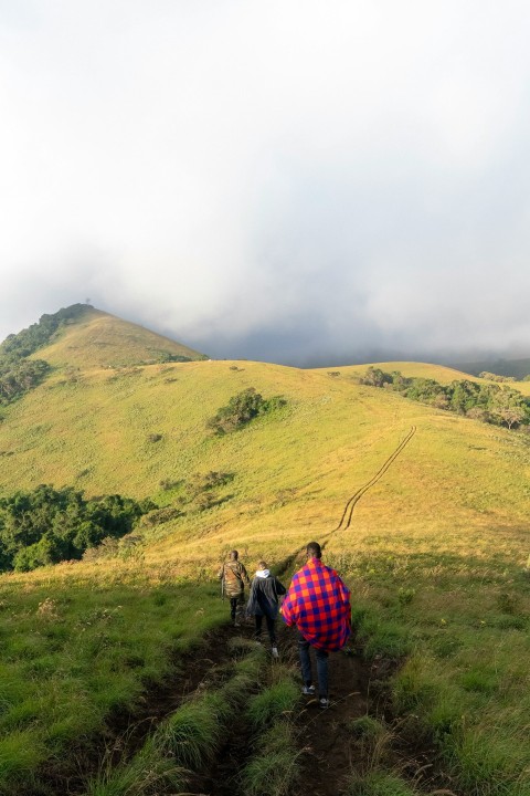 a group of people hiking up a grassy hill