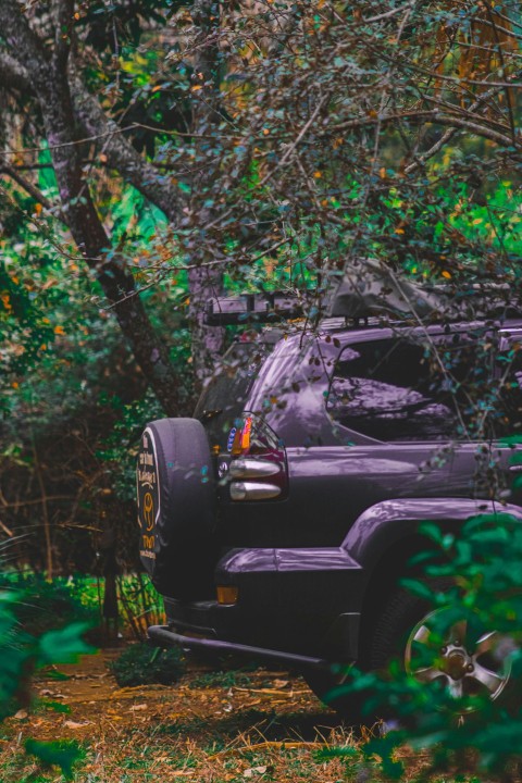 a car parked in a wooded area FeIEtIwO