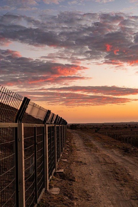 a line of fences along a dirt road