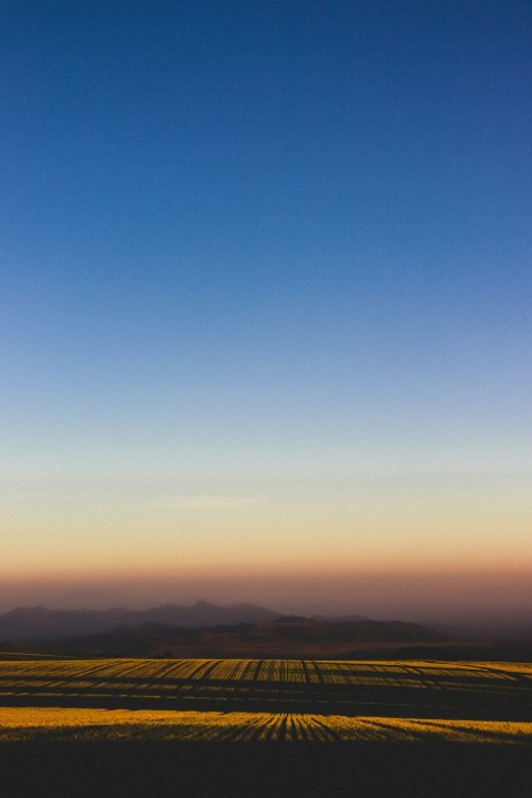 a large field with a sky in the background