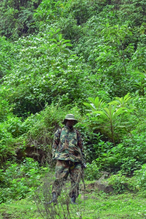 a person in camouflage walking through a forest