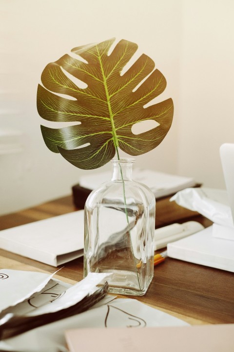 a plant in a glass vase XXgTML