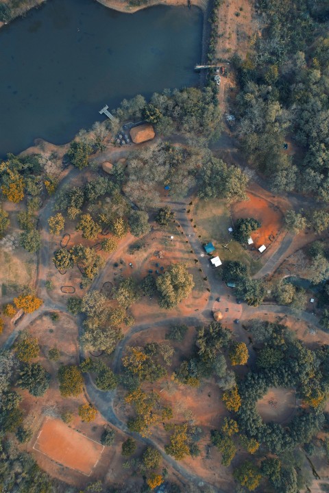 a high angle view of a road and trees