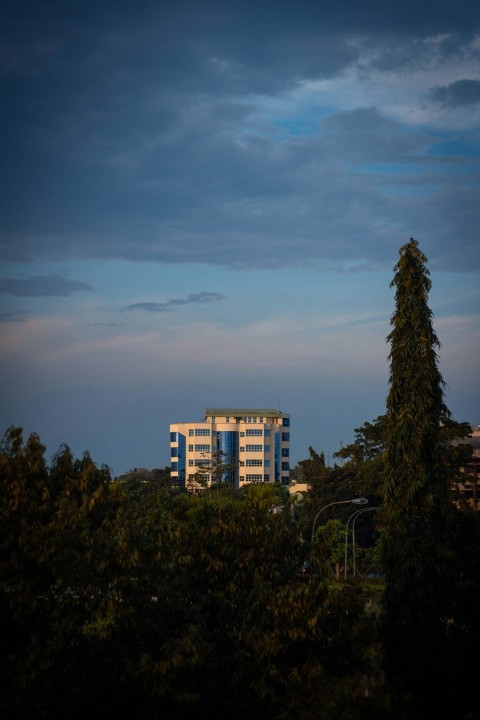 green trees near white concrete building under blue sky during daytime