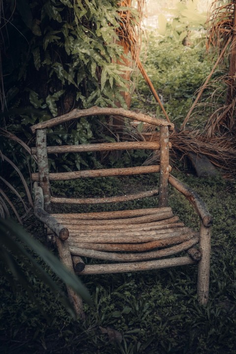 brown wooden chair on forest during daytime Gsv98knJy