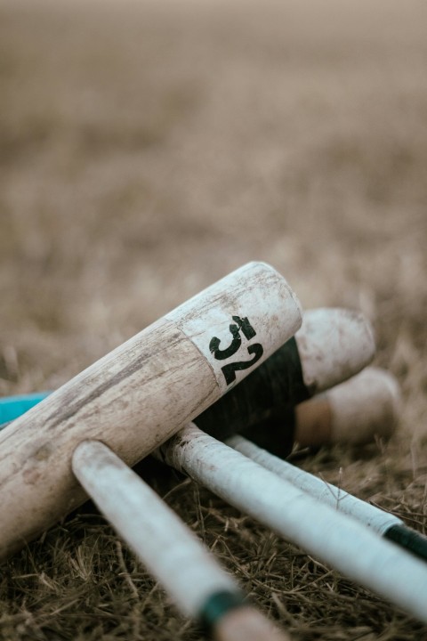 a bunch of baseball bats laying on the ground v_uQ7MWp