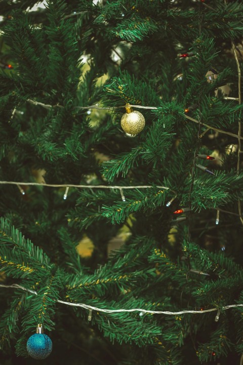 a close up of a christmas tree with ornaments on it