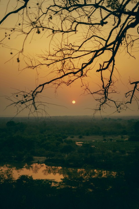 the sun is setting over a river with trees in the foreground