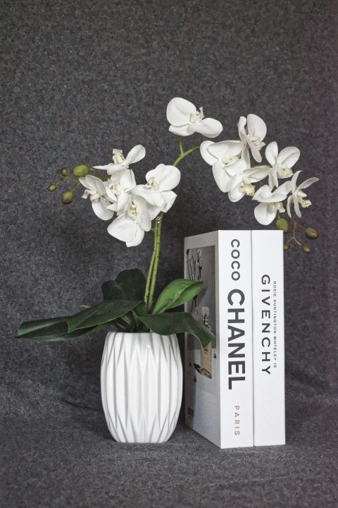 a white vase filled with white flowers next to a book