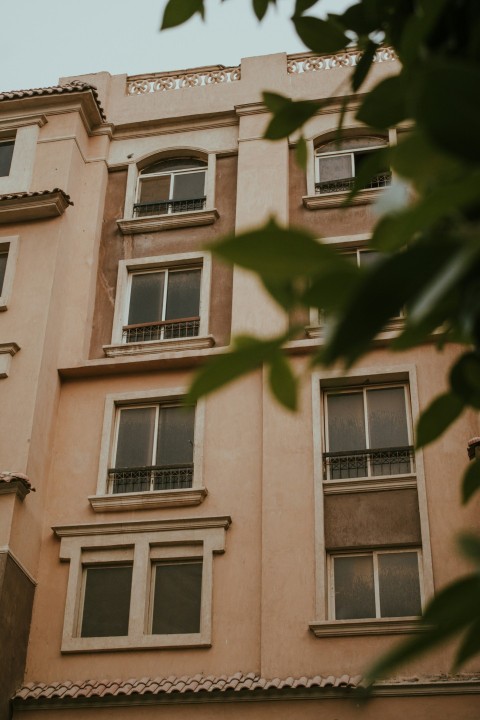 a tall building with lots of windows next to a tree