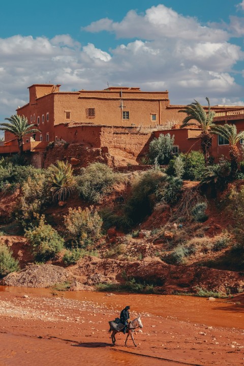 brown concrete building near green trees during daytime