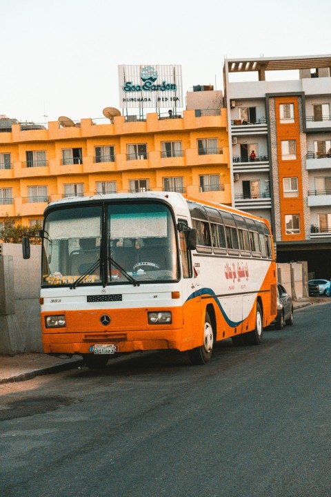 an orange and white bus parked in front of a building